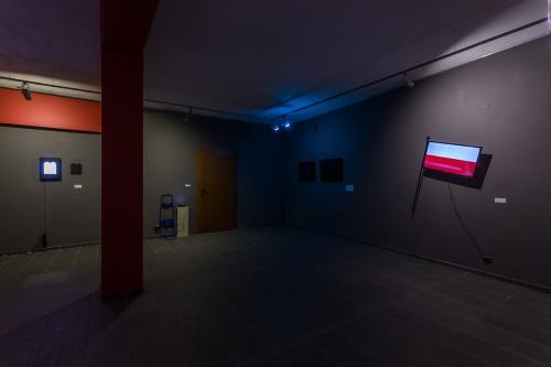 58167881.jpg fot. Michał Pietrzak