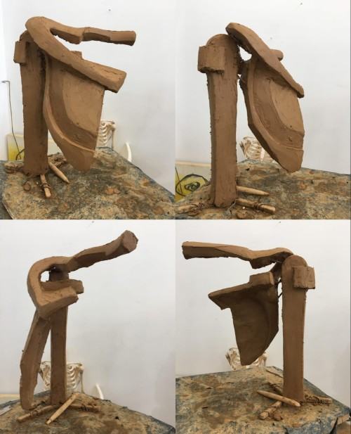 Kinga Żelazko, Fragment anatomiczny - synteza