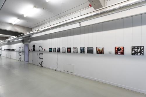 fot. Michał Pietrzak