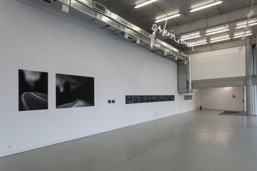 fot. Michał Pietrzak