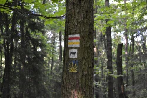wyjście na szlak