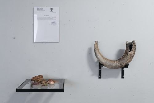 fot. Michał Pietrzak