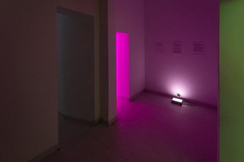 fot. Michał Pietrzak