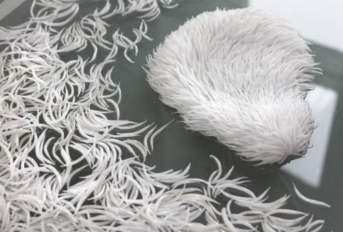 61563714.jpg Katarzyna Montusiewicz