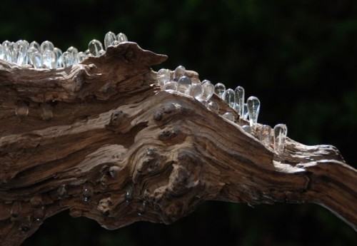 61735567.jpg Anne Notebaert