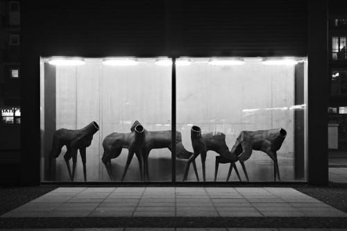 Anna Bujak