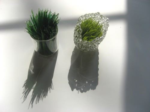 Beata Damian- Speruda