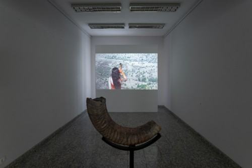 fot. Michał Pietrzak