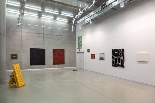 fot. Michał Pietrzak