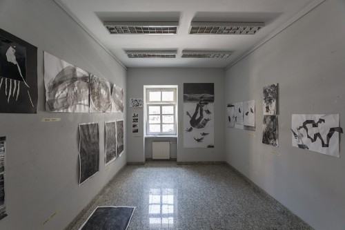 fot. Michał Pietrzak