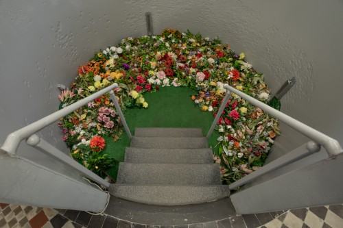 65600162.jpg fot. Michał Pietrzak