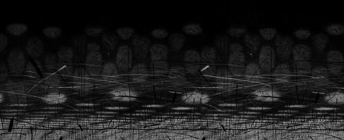 Agata Gertchen, 'Harmonia' linoryt 70x170 cm, 2011