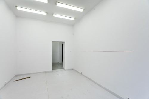 fot. Michał Pietrzak