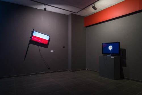 66724561.jpg fot. Michał Pietrzak