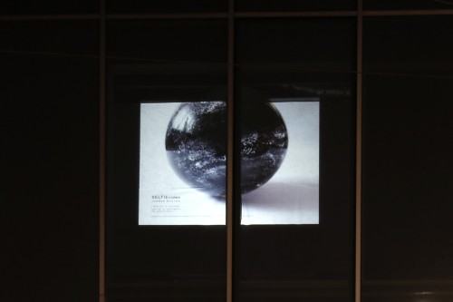 Joanna Muzyka, fot. M. Boczniowicz