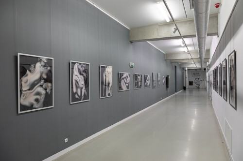 fot. Michał Pietrzak