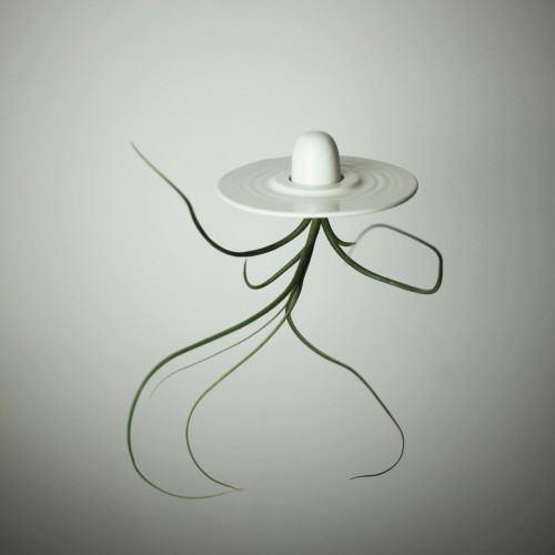 68433229.jpg Khavro Dominika, Oplątwa, 2018