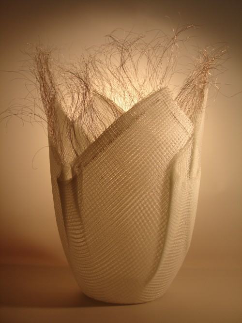 Kazimierz Pawlak- Sea anemone 2010