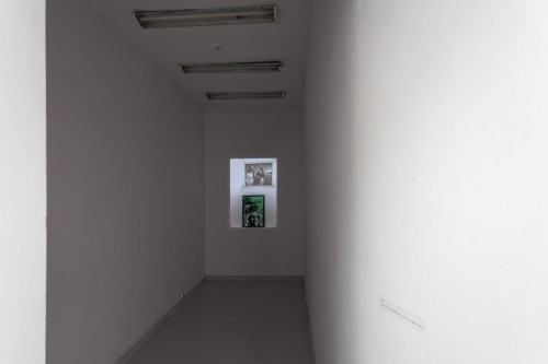 69341865.jpg fot. Michał Pietrzak