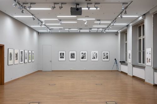 fot. Michał Pietrzak