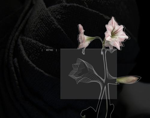 Adam Abel_4 Adam Abel_4