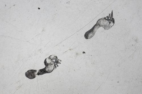 fot. Michał Pietrzak