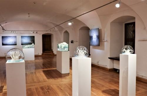 Habitaty - Weronika Lucińska (ceramika) & Joanna Pałys (malarstwo)