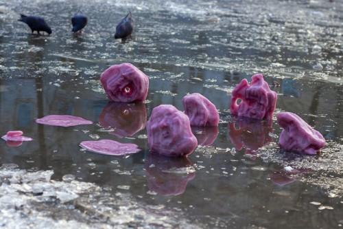 71427685.jpg Jagoda Wika, Gęby