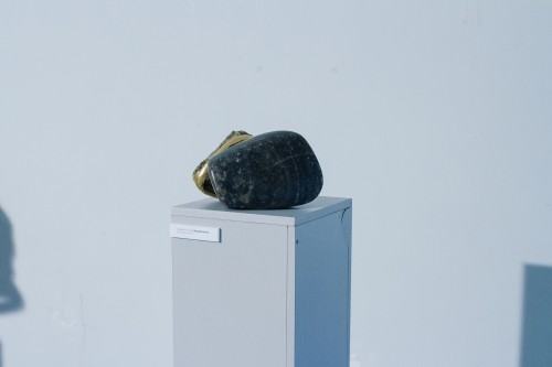 71618115.jpg