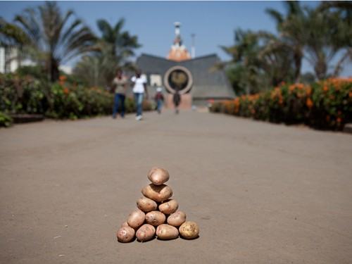 Karolina Freino Karolina Freino