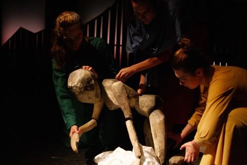 fot Karolina Moszkowicz