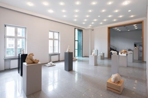 fot. Michał Pietrzak