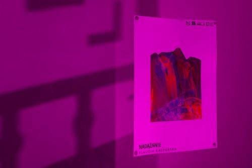 fot. Michał Pietrzak