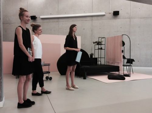 aw Maja Górowska, Karolina Koryniowska, Kamila Potocka “Projekt mebli przeznaczonych do jednoprzestrzennych wnętrz mieszkalnych umożliwiających formowanie zestawów spełniających potrzeby jednego użytkownika, pary użytkowników, mieszkańców hostelu".