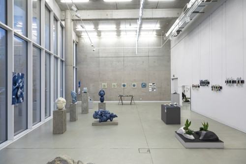 fot. Michał Pietrzak