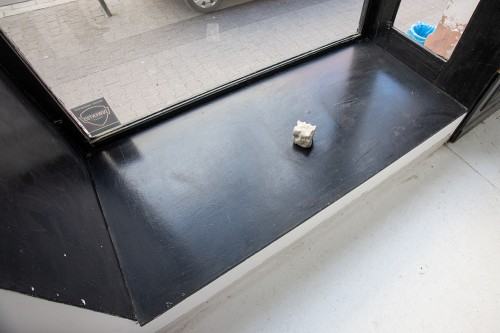 fot. Michał Pietrzak