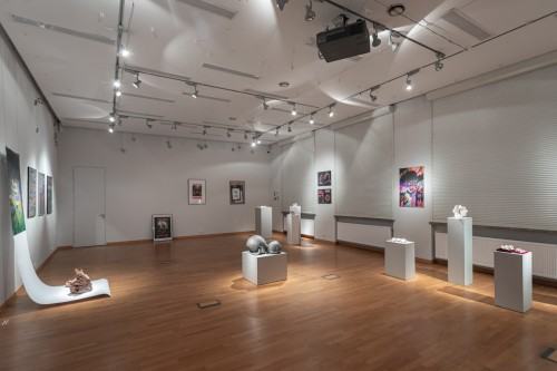 fot. Michał Pietrzak