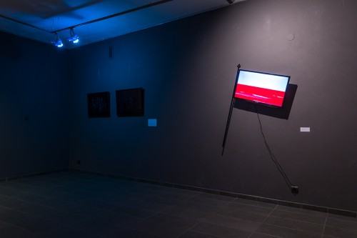 78163591.jpg fot. Michał Pietrzak