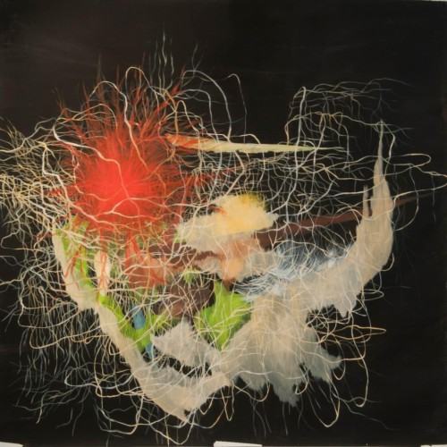 Irmina Staś (ASP Warszawa)