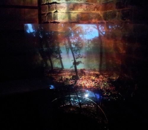 Otwarcie wystawy - PROJEKCJA | PROJECTION