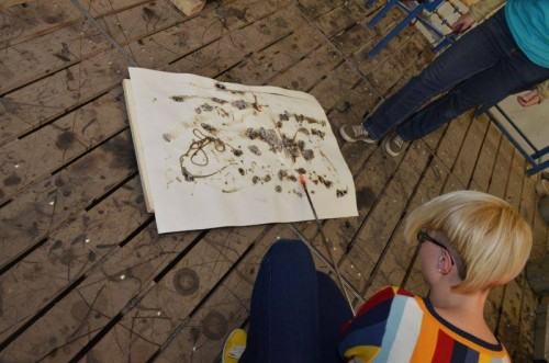 Glass Zone 2014 fot. Alek Figura