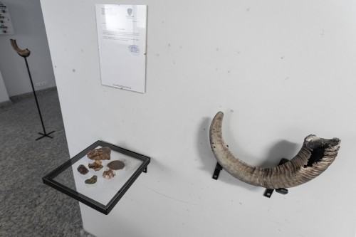 fot. Michał Pietrzak