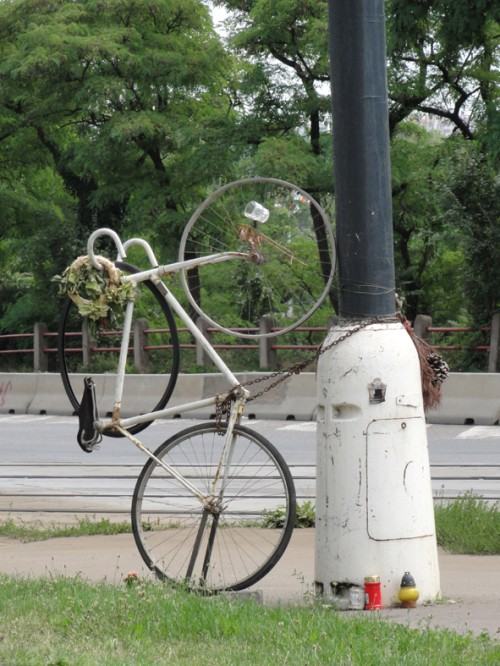 wystawy towarzyszące