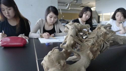 Szkoła Letnia Ceramiki i Rysunku