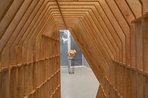 fot. Michał Pietrzak