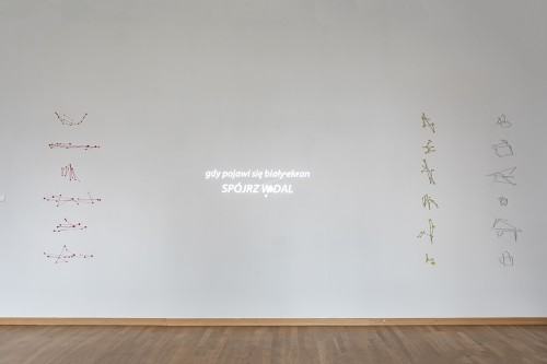 fot. Michał Pietrzak