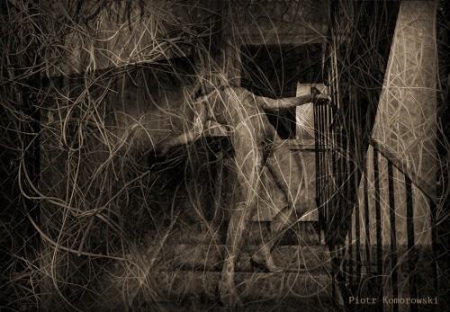 Metrum - wystawa pedagogów Katedry Sztuki Mediów