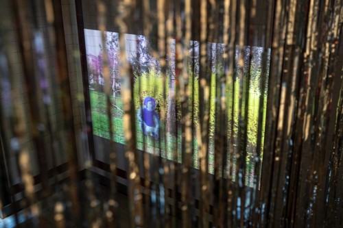 fot. Michał Pietrzak