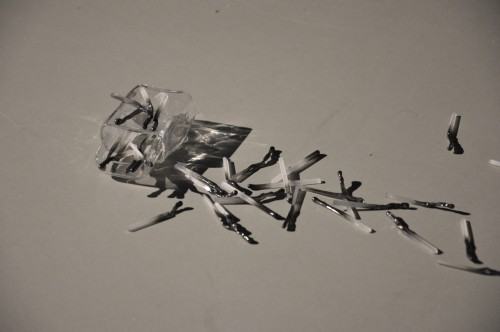 83844634.jpg O.Skonecka