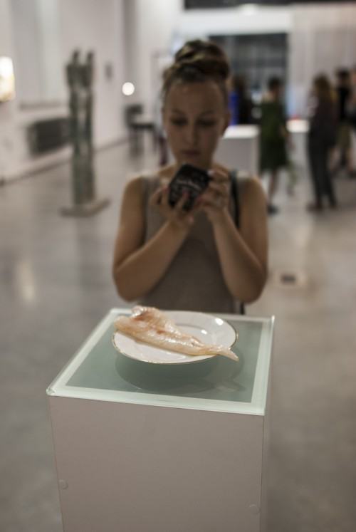 83975173.jpg foto: M. Wodarczyk